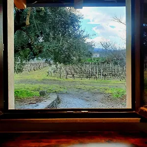  Chalet La Finestra Sul Vigneto